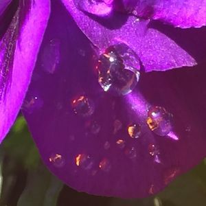 Meet your Posher, Michelle